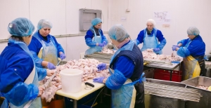 RE Recruitment granted licence for poultry industry visa scheme