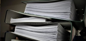 The Evolution of Administrative Roles in the Digital Age